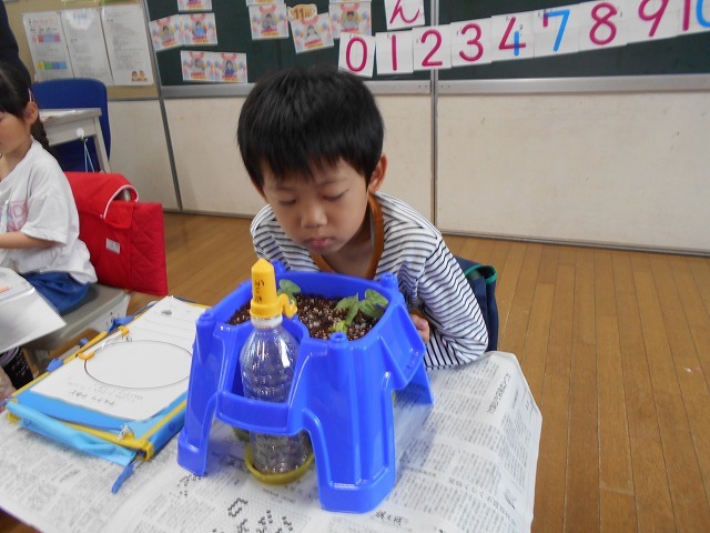 DSCN0243.jpg