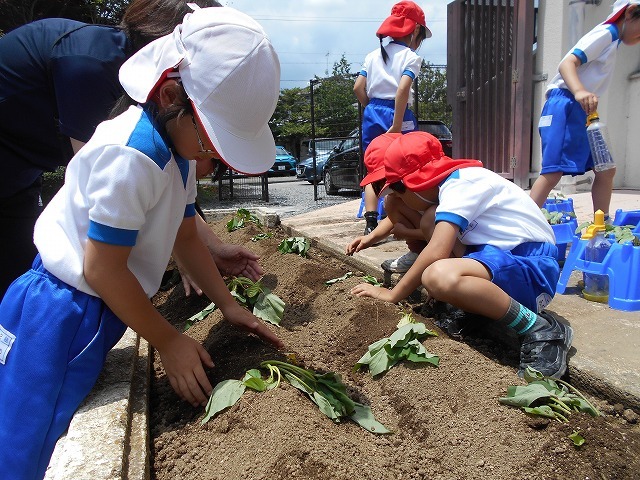 DSCN0291.jpg