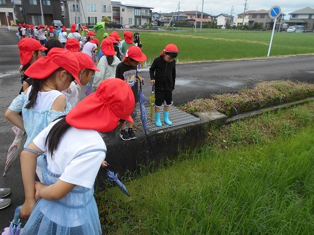 DSCN0640.jpg