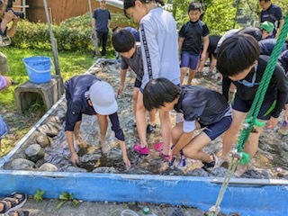 image4 (2).jpeg