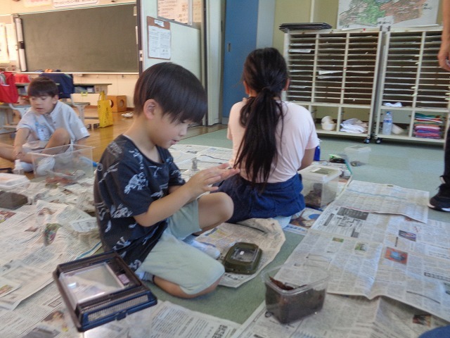 DSC07432.jpg
