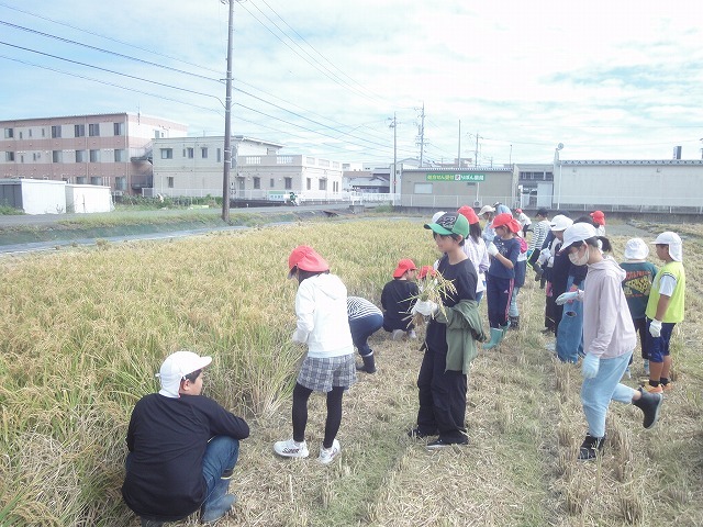 DSC02172.jpg