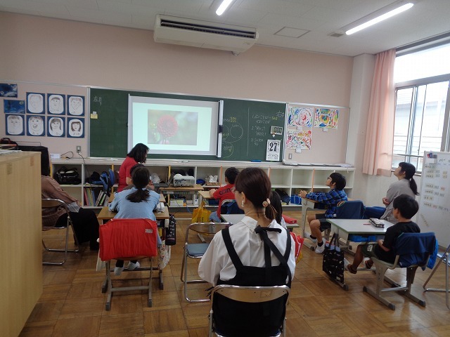 DSC07507.jpg