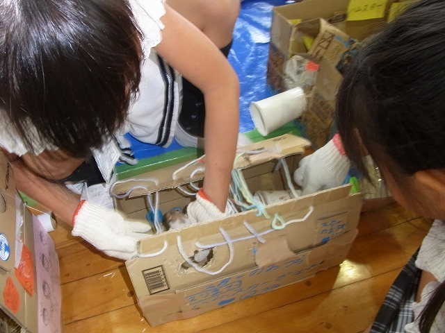 RIMG1264.jpg