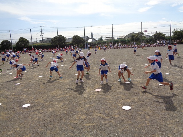 DSC04988.jpg