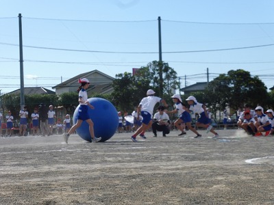 P1060257.jpg