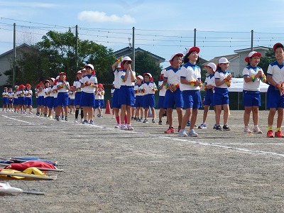 P1060268.jpg