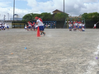 P1060337.jpg