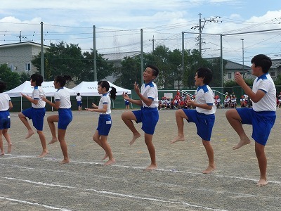 P1060525.jpg