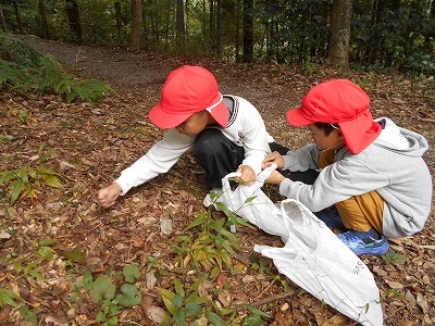 DSCN1359.jpg
