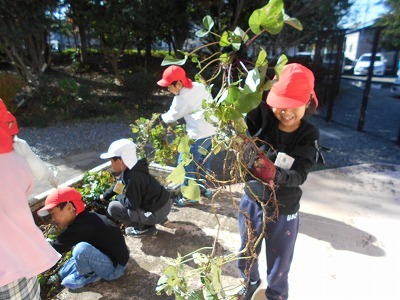 DSCN6767.jpg