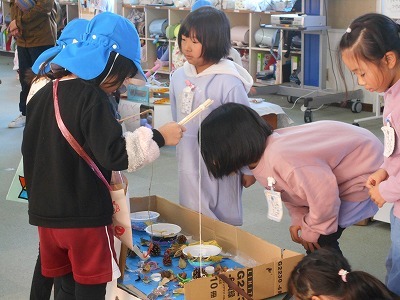 DSCN6845.jpg