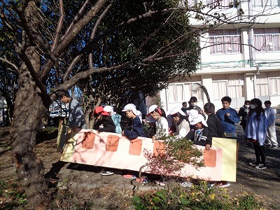 DSC08120.jpg