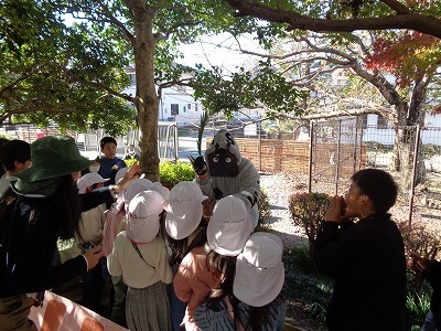 DSC08124.jpg