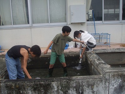 DSCF8031.jpg