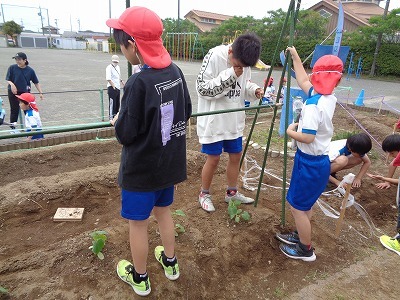 DSC08985.jpg
