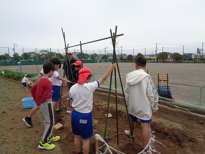 DSC08988.jpg