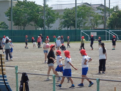 DSC08993.jpg