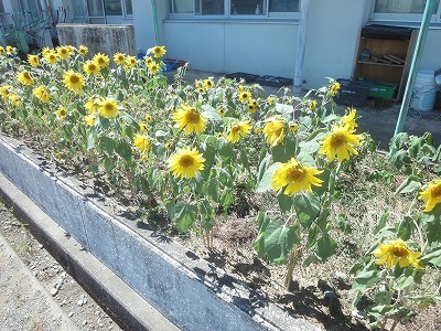 DSC04524.jpg