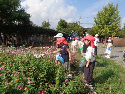 DSC09772.jpg
