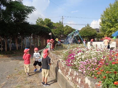 DSC09779.jpg