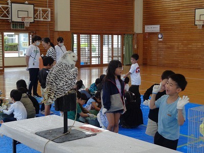 DSC09919.jpg