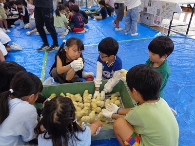 DSC09927.jpg