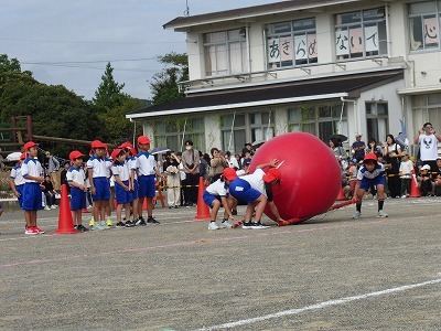 P1070238.jpg