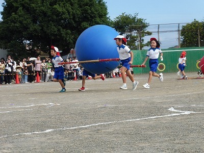 P1070239.jpg