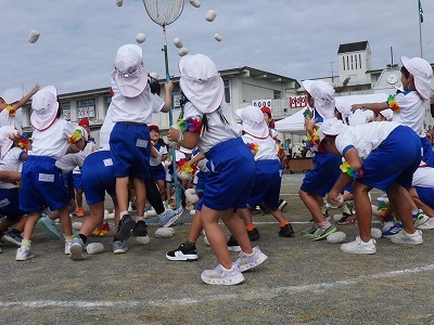 P1070281.jpg