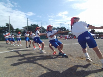 DSCF7597.jpg