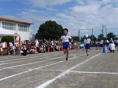 P1070324.jpg