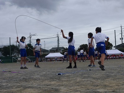 P1070453.jpg
