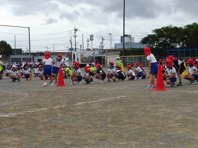 P1070495.jpg