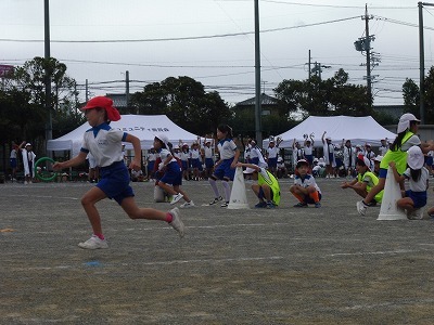 P1070510.jpg