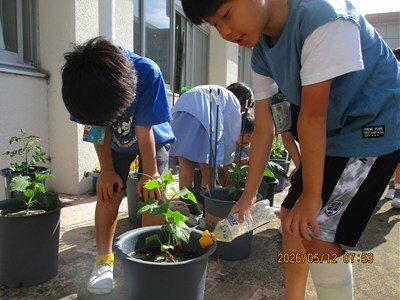 s-IMG_0987.jpg