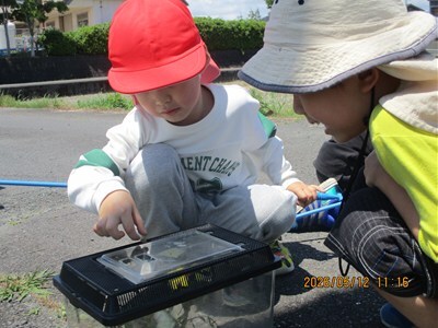 s-IMG_1042.jpg