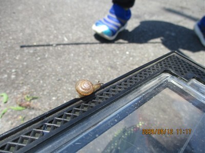 s-IMG_1045.jpg